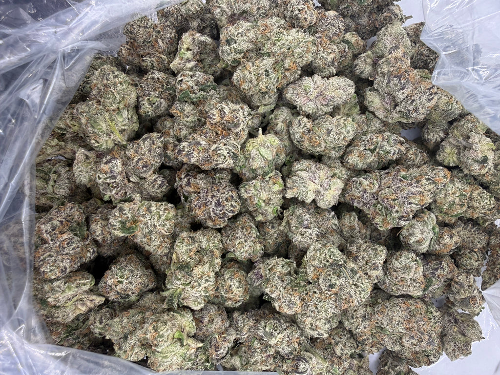 Cereal Milk