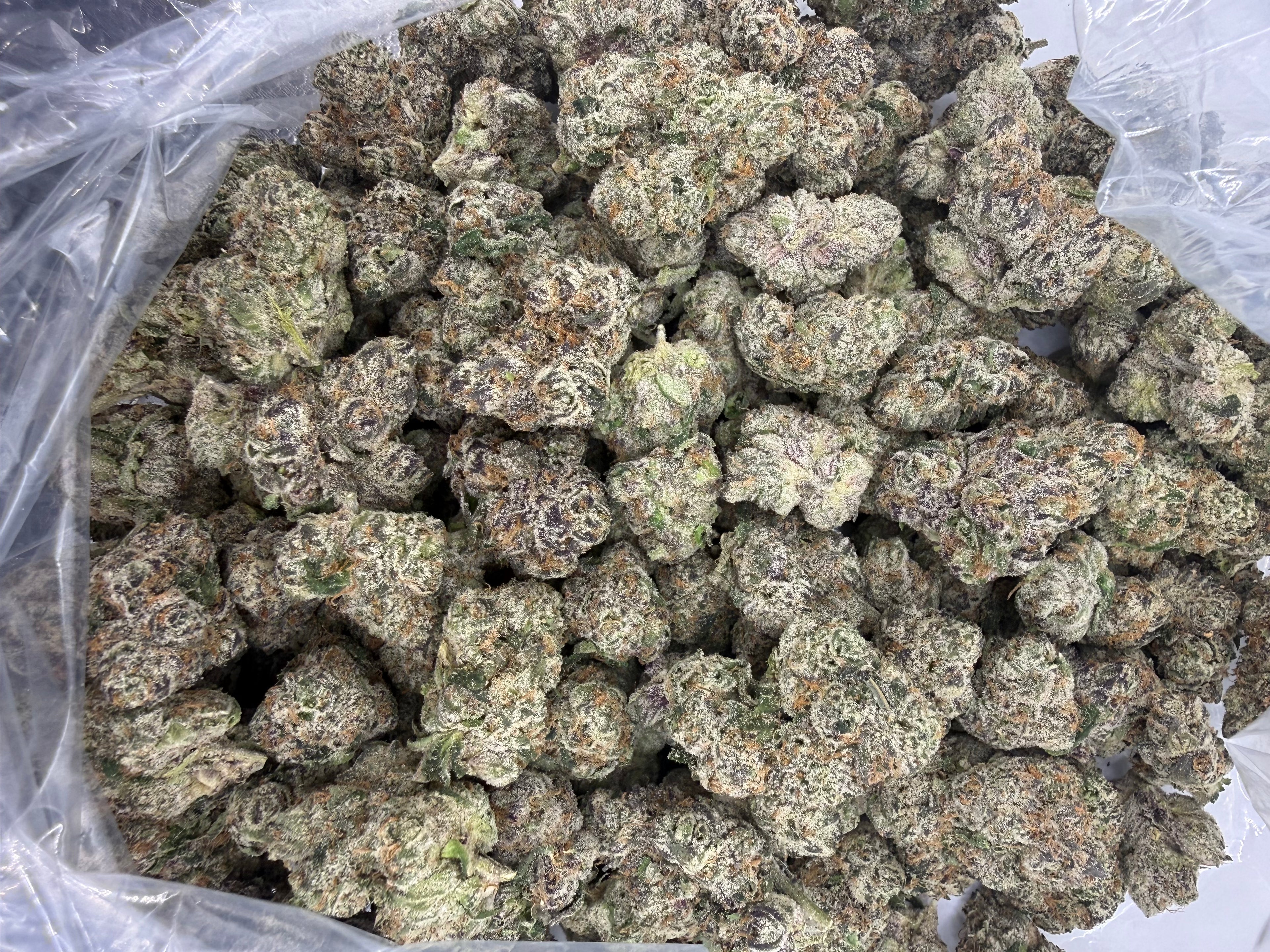 Cereal Milk