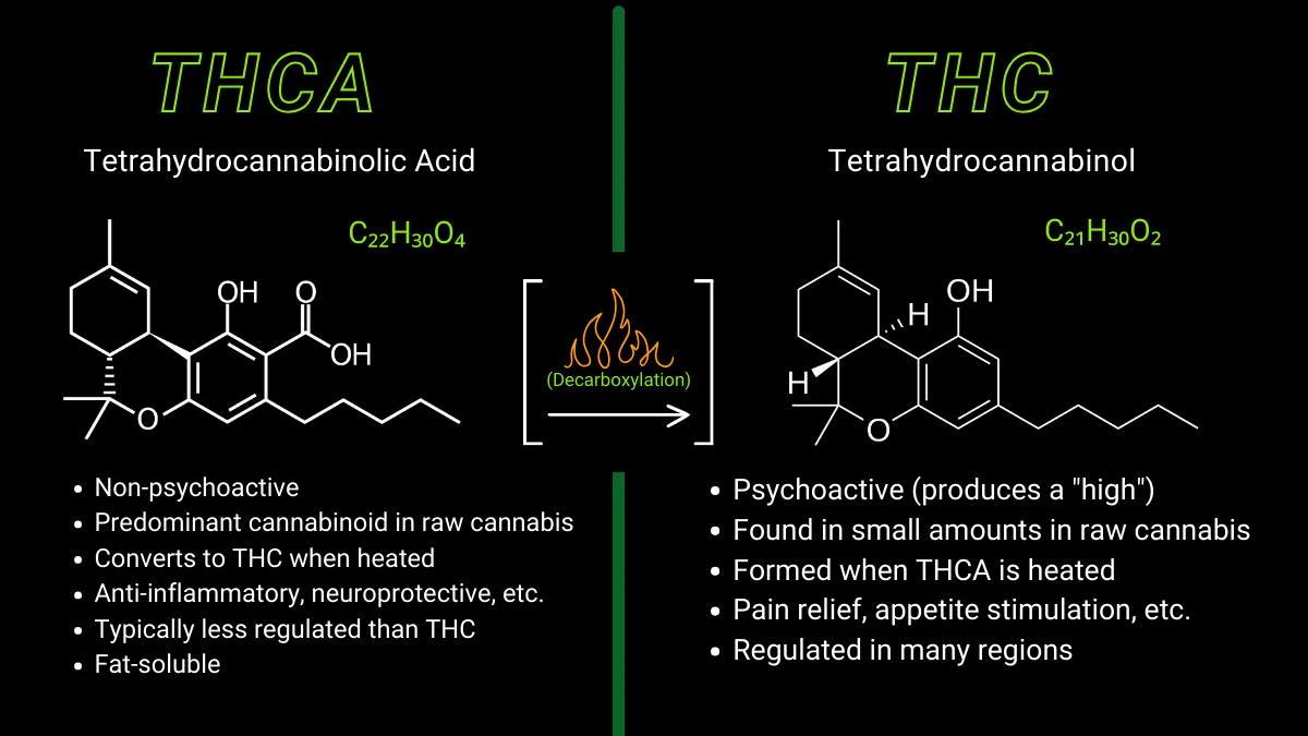 THCa vs THC Comparison