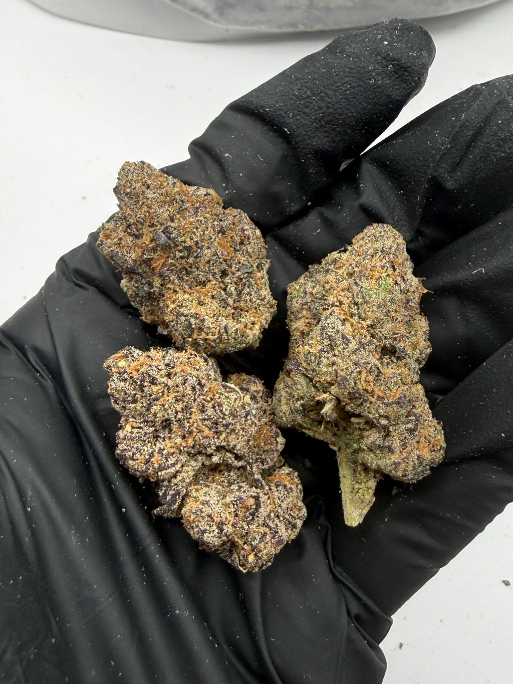 Kandy Cream