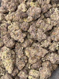 Future Haze