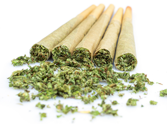 5 Pack Preroll